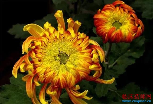 你我眼中广东21市的印象 - 休闲驿站 - 临床药师网